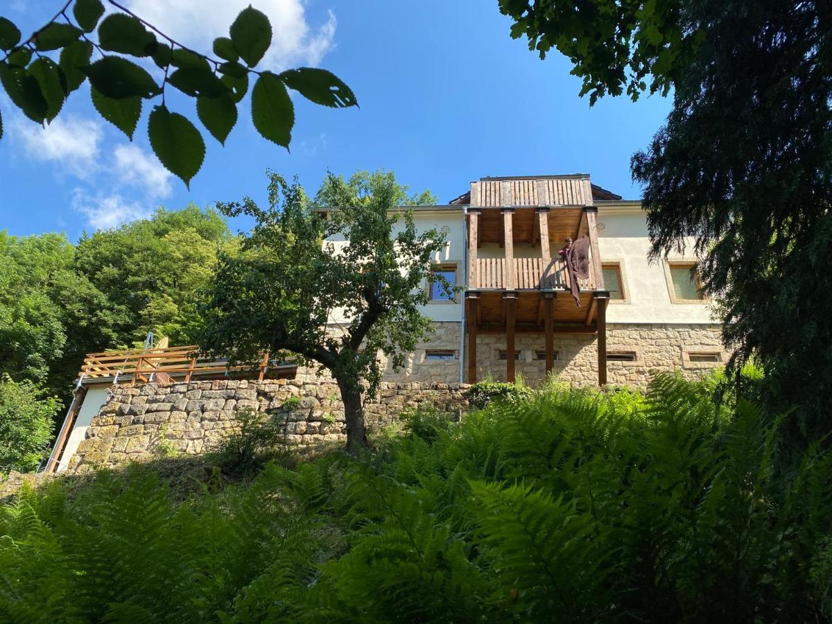 Luxusboofe - Ferienhaus Am Lilienstein Königstein an der Elbe Exterior foto